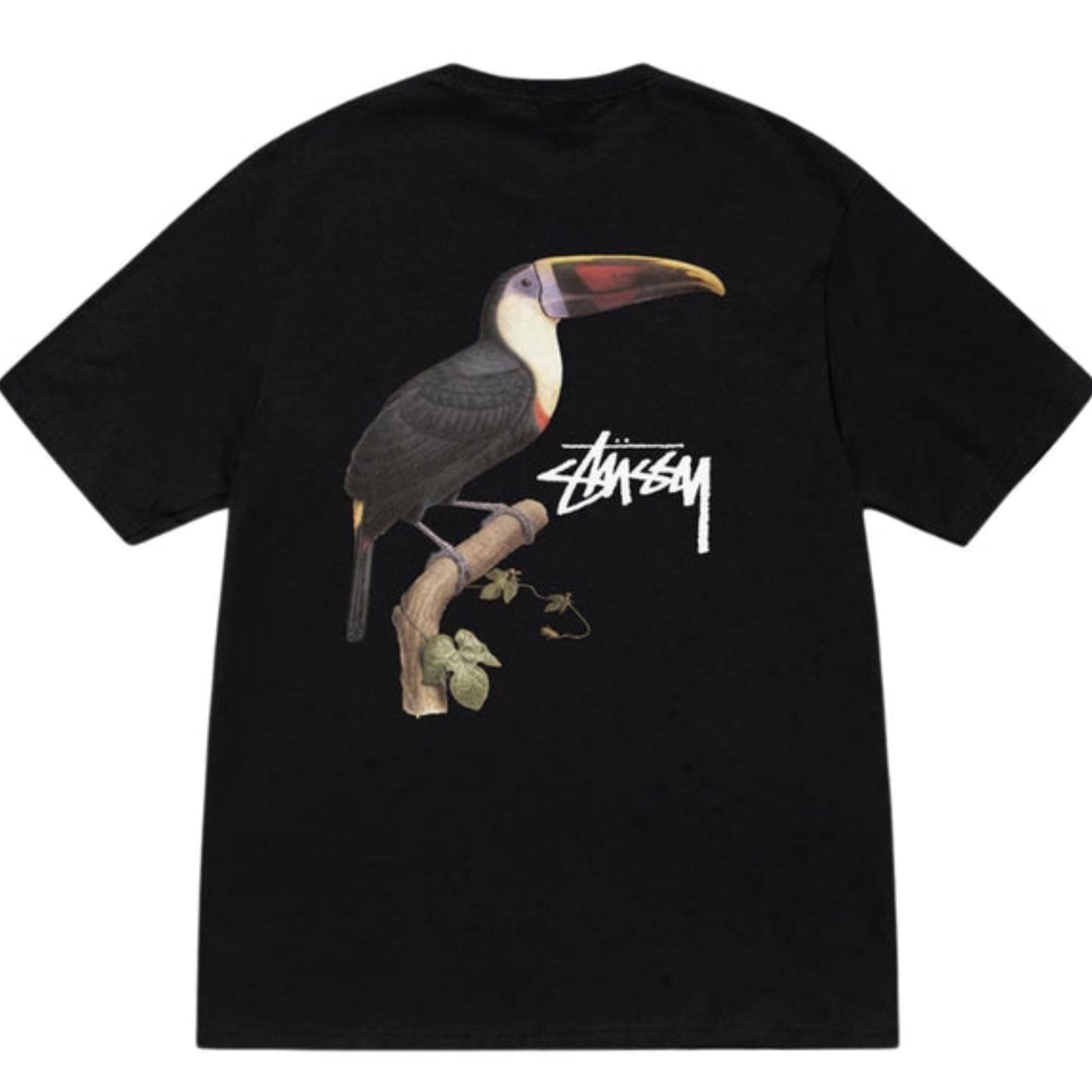 Camiseta Stüssy